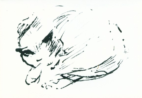 Elisabeth Jankowsky, geb. Lemke: Katze, Federzeichnung 1931